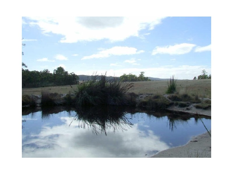 Title/243444 Tasman Highway, St Helens TAS 7216