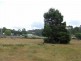Lot 2 Canhams Road, St Helens TAS 7216