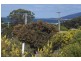 98 Scamander Avenue, Scamander TAS 7215