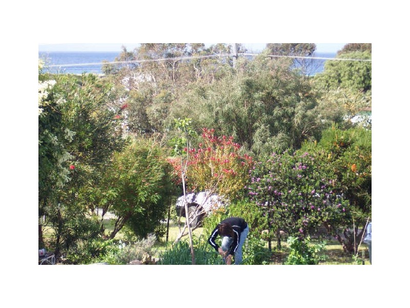 98 Scamander Avenue, Scamander TAS 7215