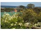 98 Scamander Avenue, Scamander TAS 7215