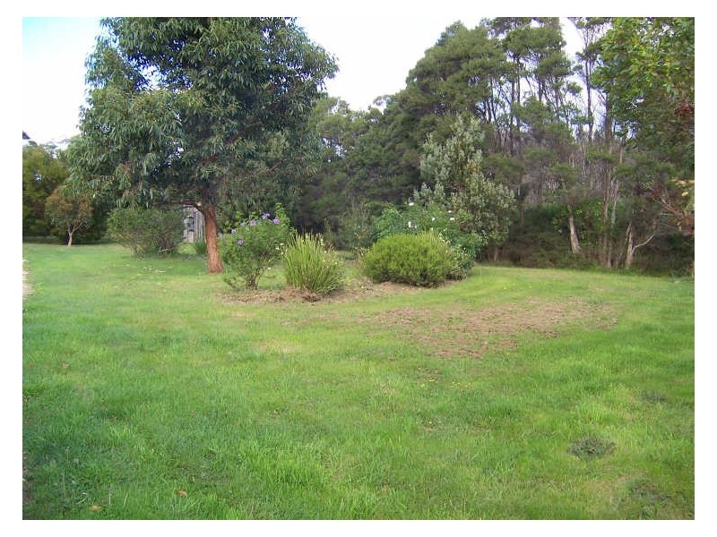 22 Dune Street, Scamander TAS 7215