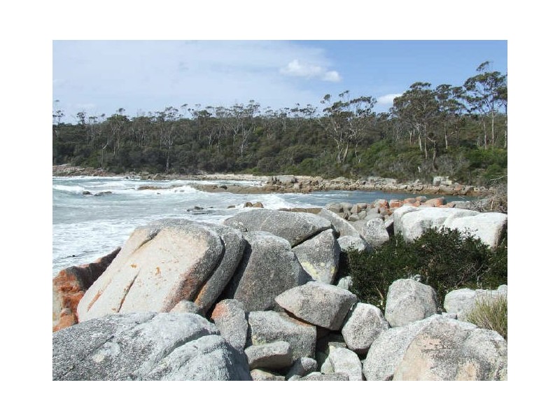 7 Fletchers Court, Binalong Bay TAS 7216