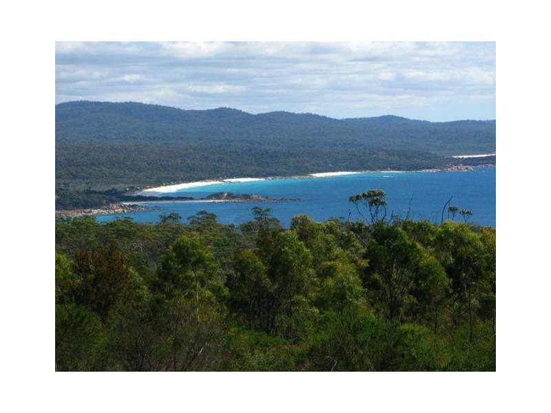 1/22 Wedge Court, Binalong Bay TAS 7216