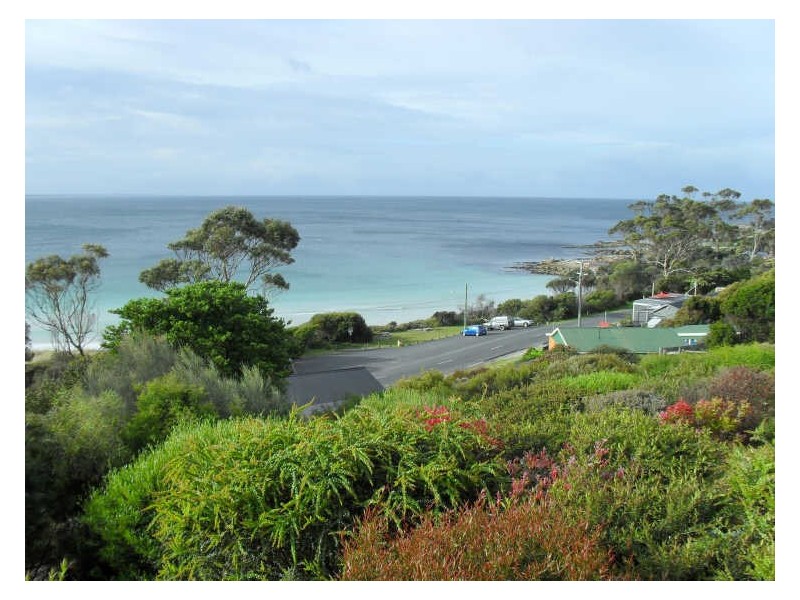 1/22 Wedge Court, Binalong Bay TAS 7216
