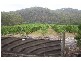558 Upper Scamander Road, Scamander TAS 7215