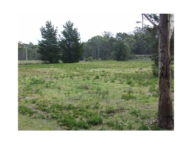 24627 Tasman Highway, St Helens TAS 7216