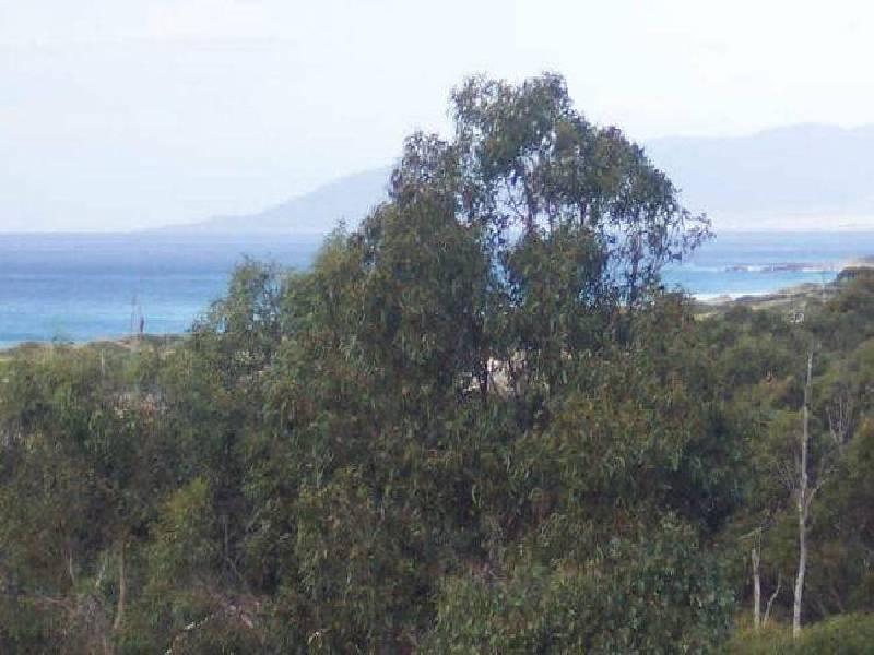 19 Reedy Road, Beaumaris TAS 7215