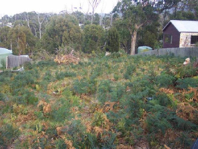 19 Reedy Road, Beaumaris TAS 7215