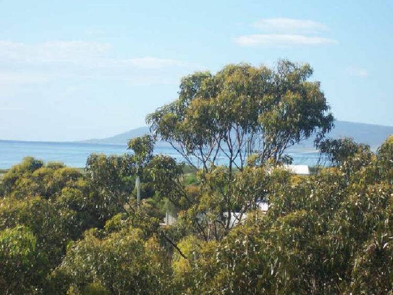 19 Reedy Road, Beaumaris TAS 7215