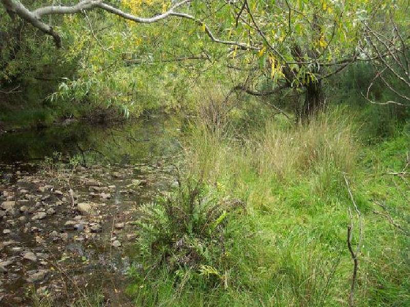 47 Main Road, St Marys TAS 7215