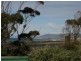 19 Pringle Street, Scamander TAS 7215