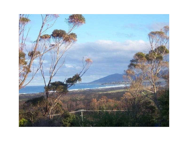 19 Pringle Street, Scamander TAS 7215