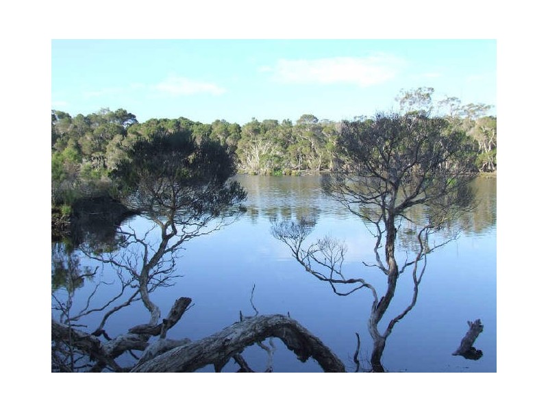 Parnella, Stieglitz TAS 7216