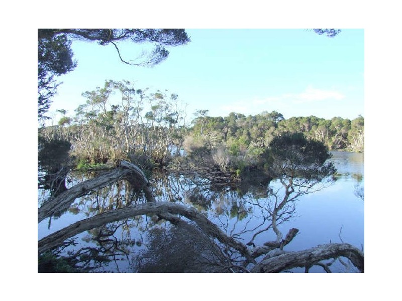 Parnella, Stieglitz TAS 7216