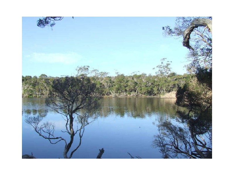 Parnella, Stieglitz TAS 7216