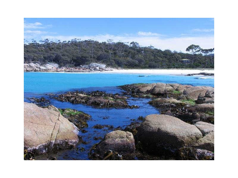 344 Gardens Road, Binalong Bay TAS 7216