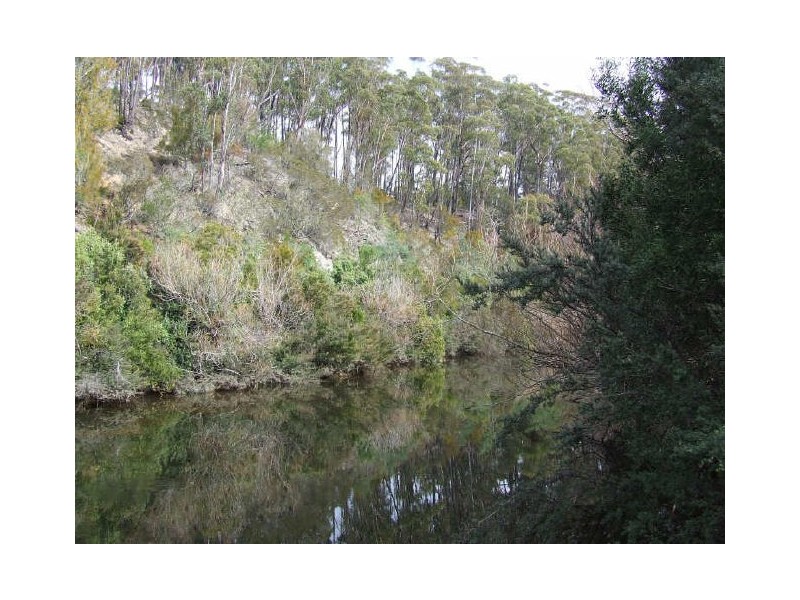 117 Eastern Creek Road, Scamander TAS 7215