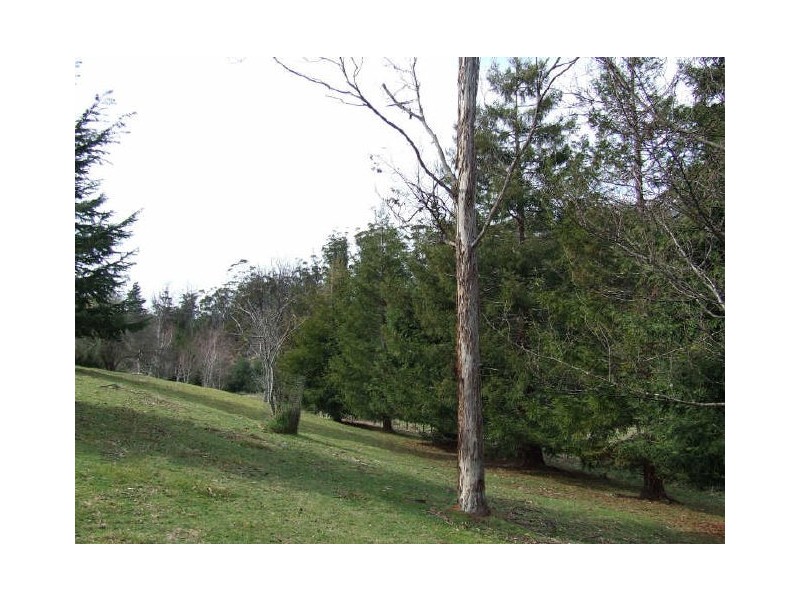 117 Eastern Creek Road, Scamander TAS 7215