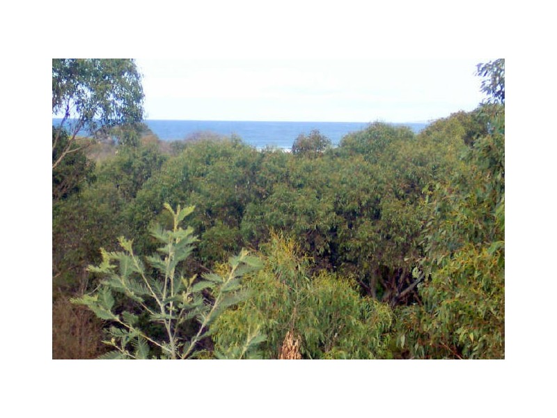 3 Reedy Road, Beaumaris TAS 7215