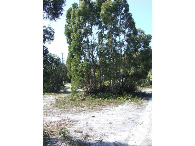171 Main Road, Binalong Bay TAS 7216