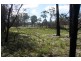 18 Riverview Road, Scamander TAS 7215