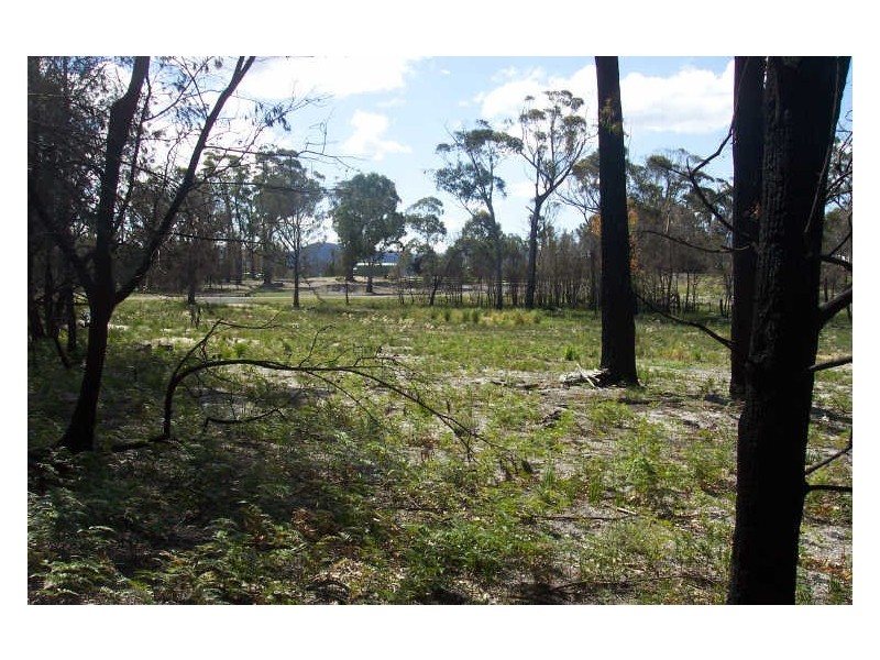 18 Riverview Road, Scamander TAS 7215