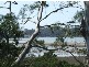 60 Medea Cove Esplanade, St Helens TAS 7216