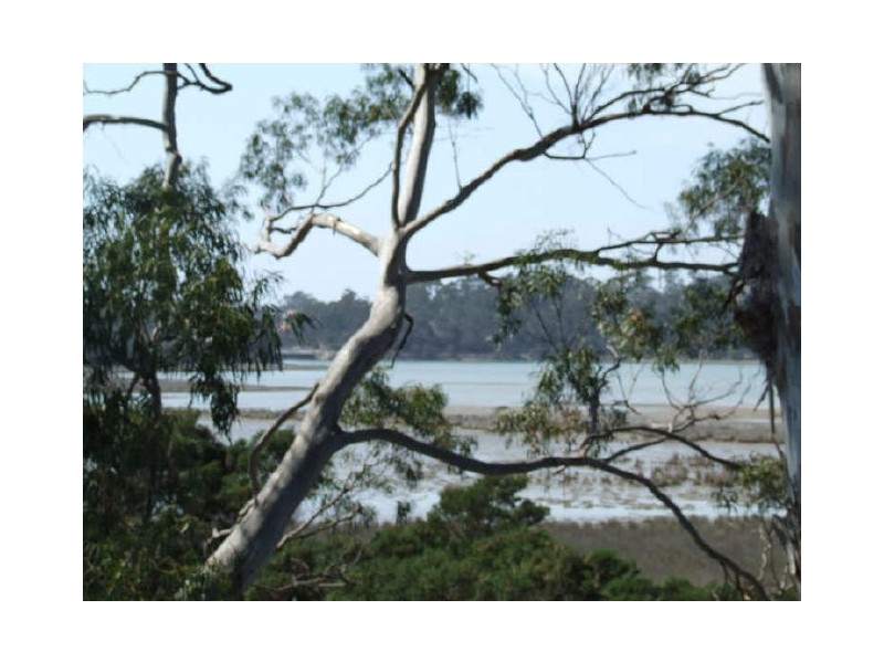 60 Medea Cove Esplanade, St Helens TAS 7216