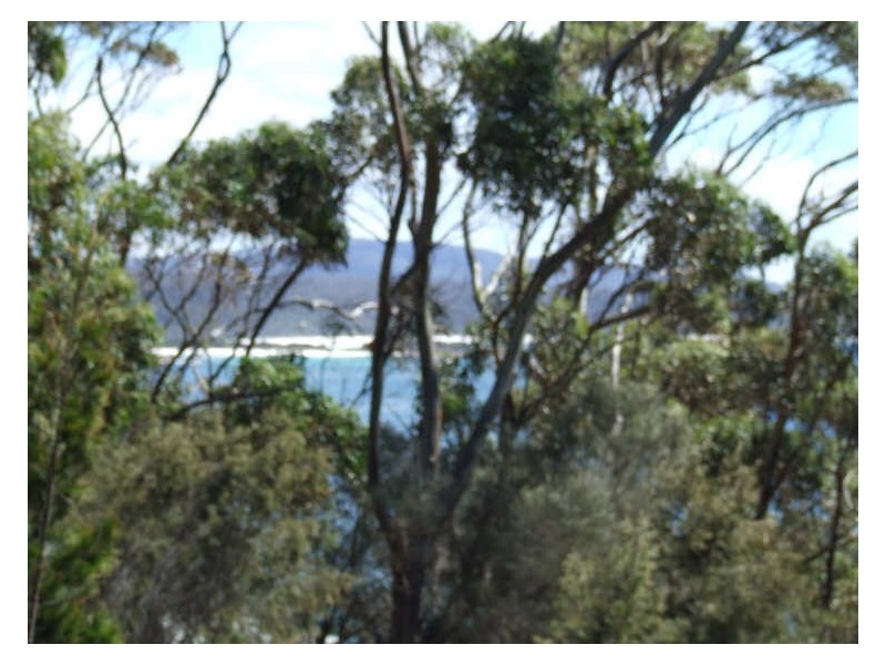 31 Highcrest Avenue, Binalong Bay TAS 7216