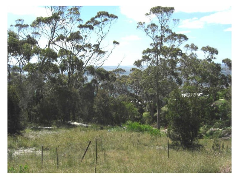 31 Highcrest Avenue, Binalong Bay TAS 7216