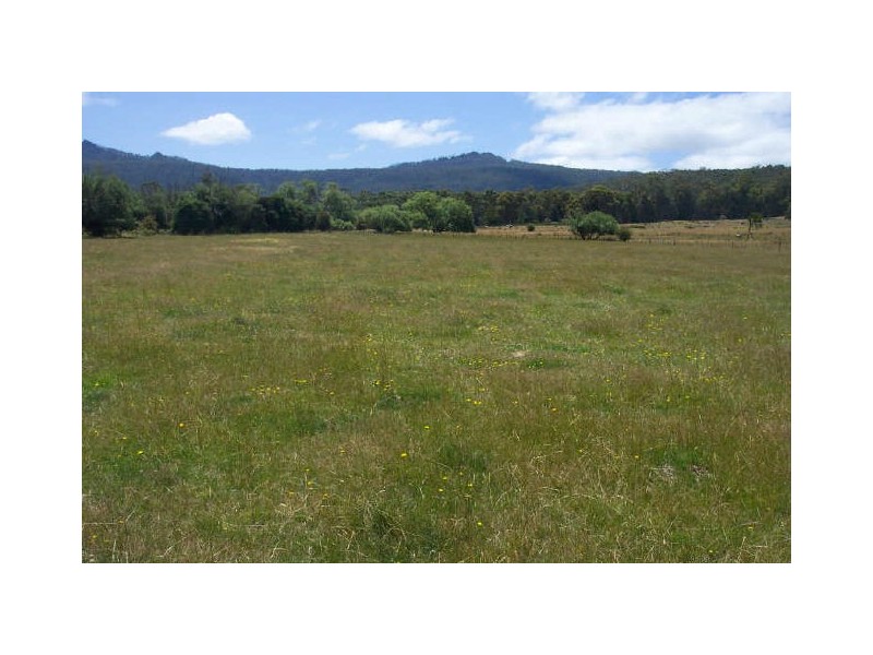 32 Gardeners Creek Road, St Marys TAS 7215