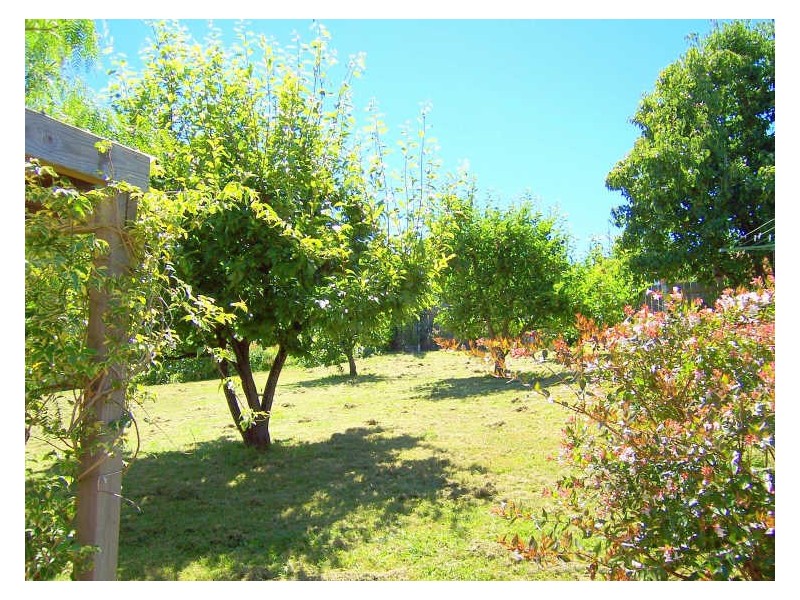 7 Penelope Street, St Helens TAS 7216