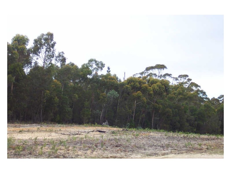 Eastern Creek Road, Beaumaris TAS 7215