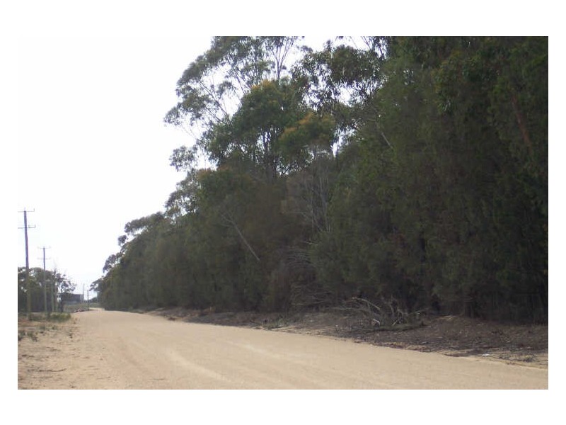 Eastern Creek Road, Beaumaris TAS 7215