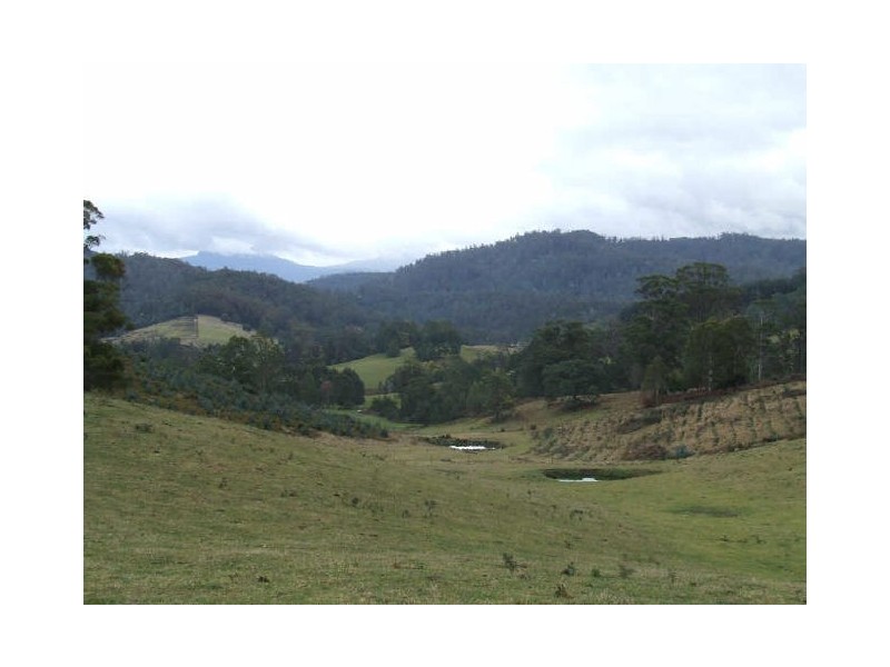 Lot 1 Tasman Highway, Goshen TAS 7216