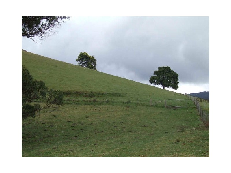 Lot 1 Tasman Highway, Goshen TAS 7216