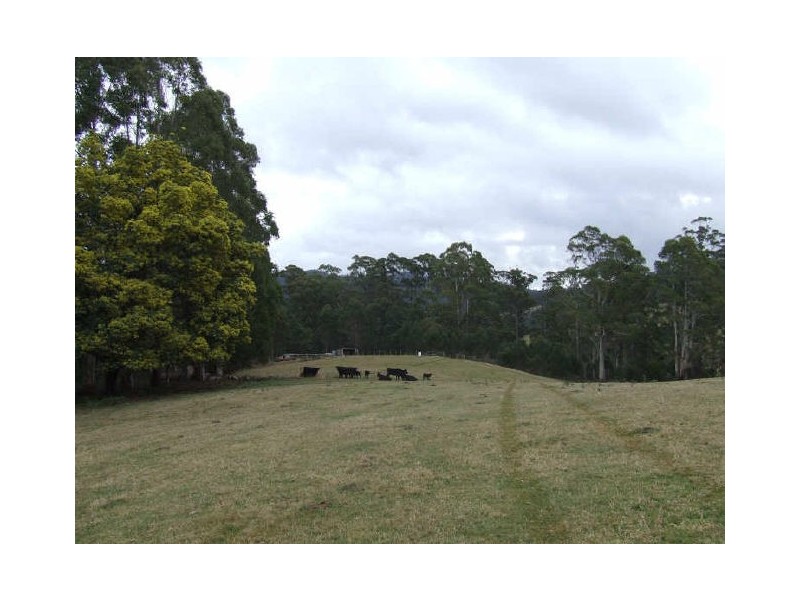 Lot 1 Tasman Highway, Goshen TAS 7216