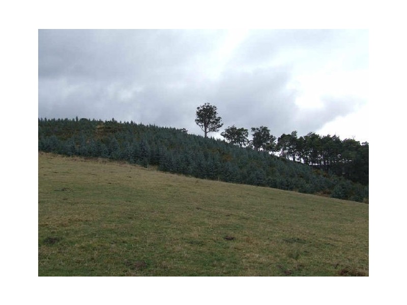Lot 1 Tasman Highway, Goshen TAS 7216