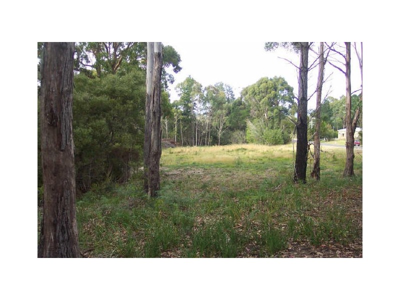 7548 Esk Main Road, St Marys TAS 7215