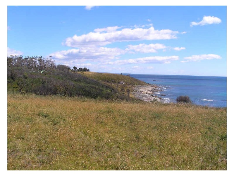 Lot 1/21424 Tasman Highway, Four Mile Creek TAS 7215