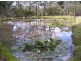 Lot 1/21424 Tasman Highway, Four Mile Creek TAS 7215