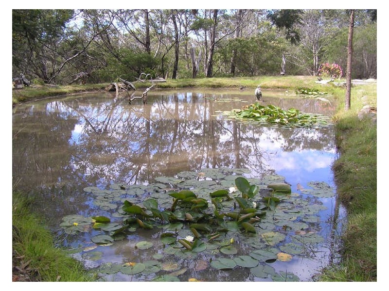 Lot 1/21424 Tasman Highway, Four Mile Creek TAS 7215