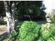 75 Cecilia Street, St Helens TAS 7216