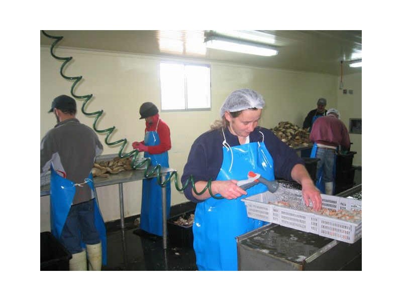 18 Medea Cove Esplanade, St Helens TAS 7216