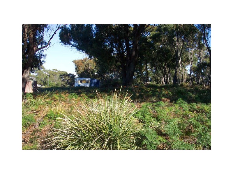 23 Skyline Drive, Beaumaris TAS 7215