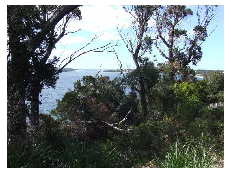 5 Chimney Heights, Stieglitz TAS 7216