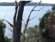 5 Chimney Heights, Stieglitz TAS 7216