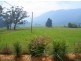 28121 Tasman Highway, Pyengana TAS 7216