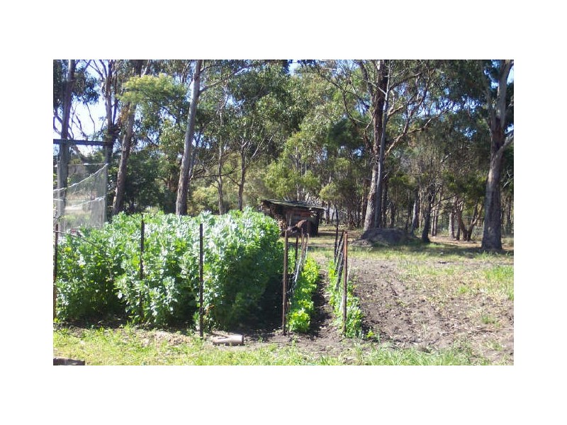 5 Lyne Court, Four Mile Creek TAS 7215